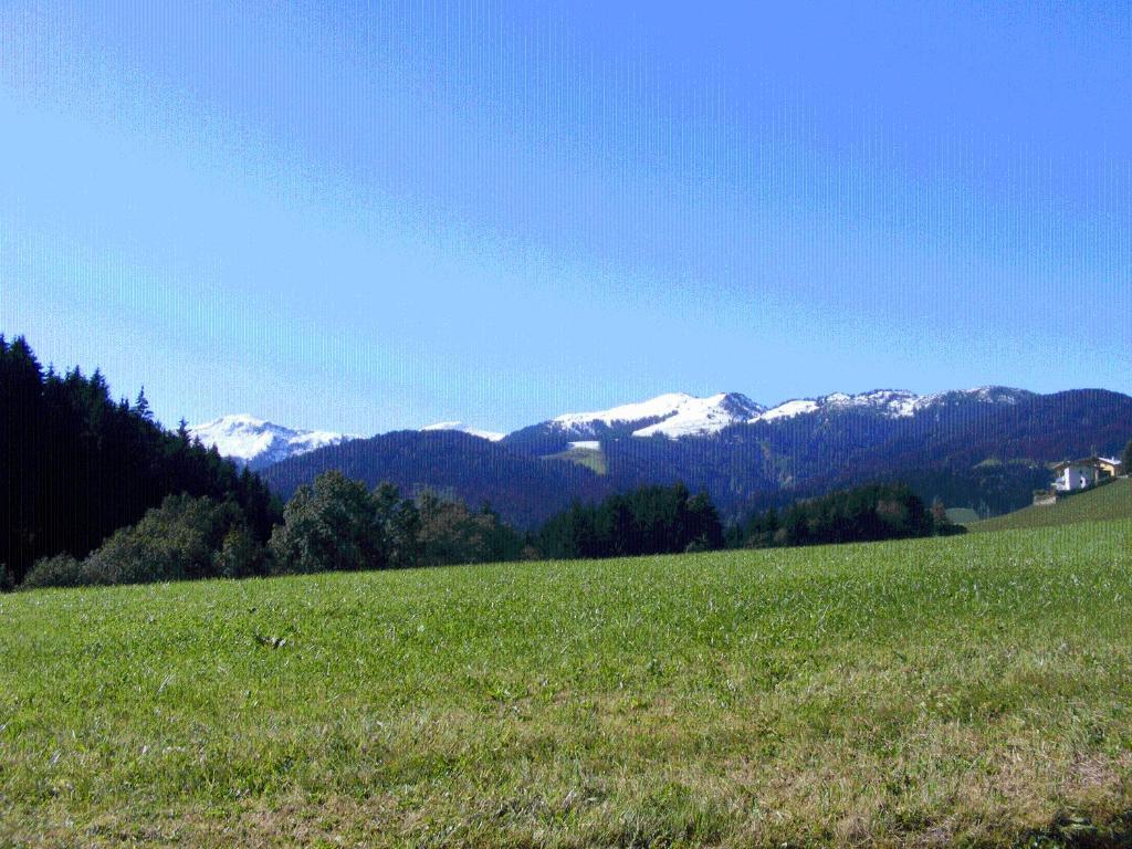 Landgasthof Dorferwirt Oberau Cameră foto